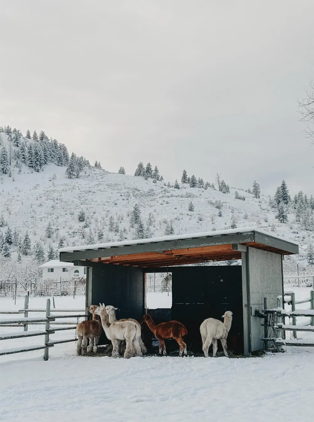 Télétravail : travailler de partout, vivre quelque part