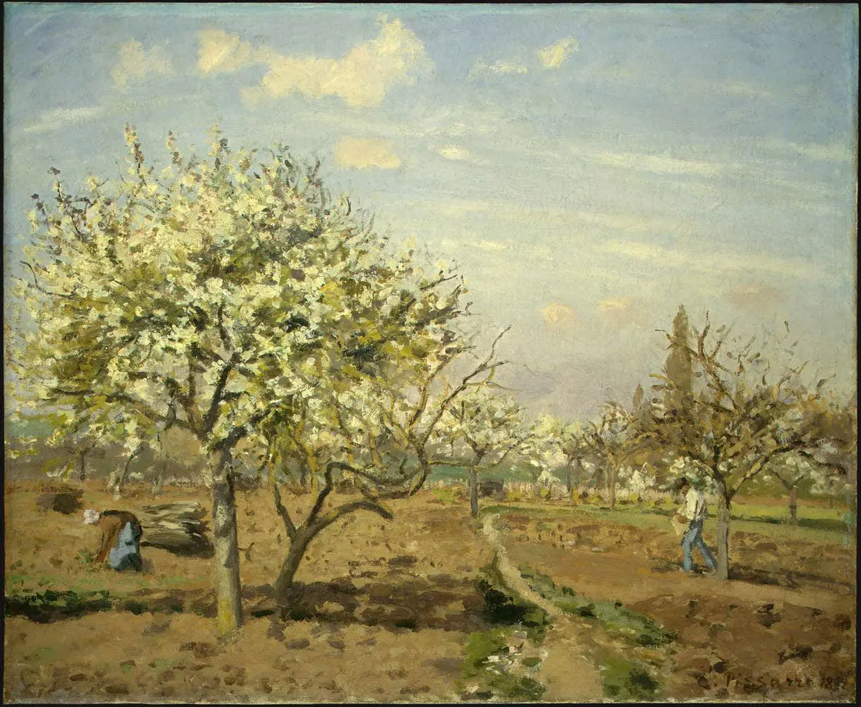 Verger en fleurs au printemps, paysage rural évoquant Montesson et le rythme des saisons